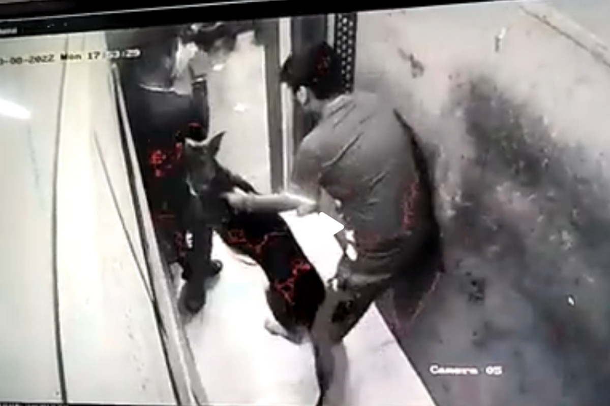 pet-dog-attack-on-young-man-in-the-lift-in-noida-after-ghaziabad-case.jpg