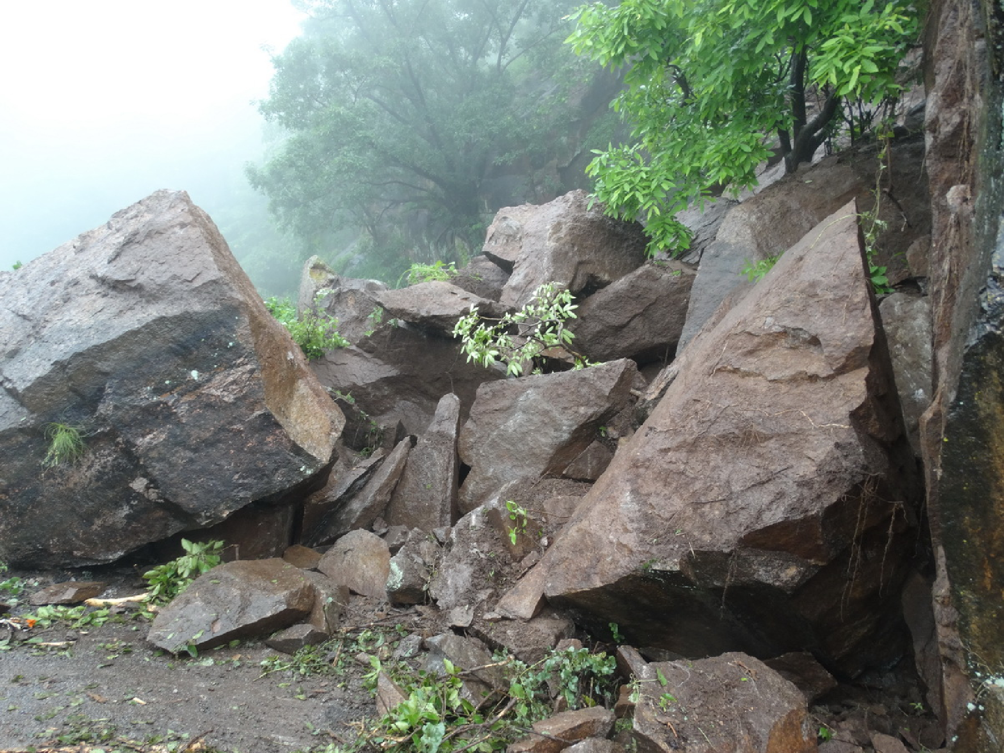 माउंट आबू. अक्सर बरसात के दिनों ऐसे चट्टानें गिरकर बंद होता है सड़क मार्ग। (फाइल फोटो)