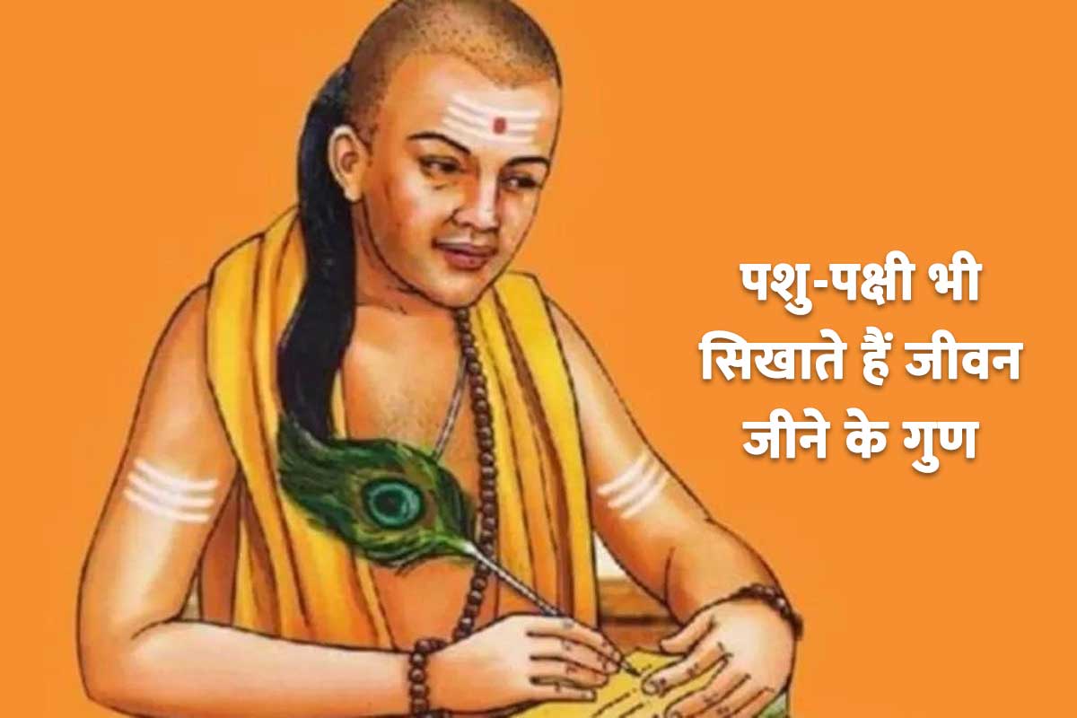 chanakya niti in hindi, chanakya niti for students, chanakya niti for success in life, success mantra quotes, acharya chanakya quotes in hindi, chanakya neeti quotes, safalta ka mul mantra kya hai, चाणक्य नीति के अनमोल वचन,