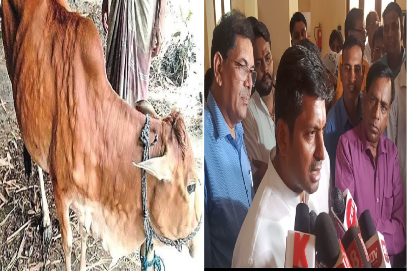 राजस्थान में विकराल होती लम्पी बीमारी, सरकार बैठी है कन्याकुमारी- आप