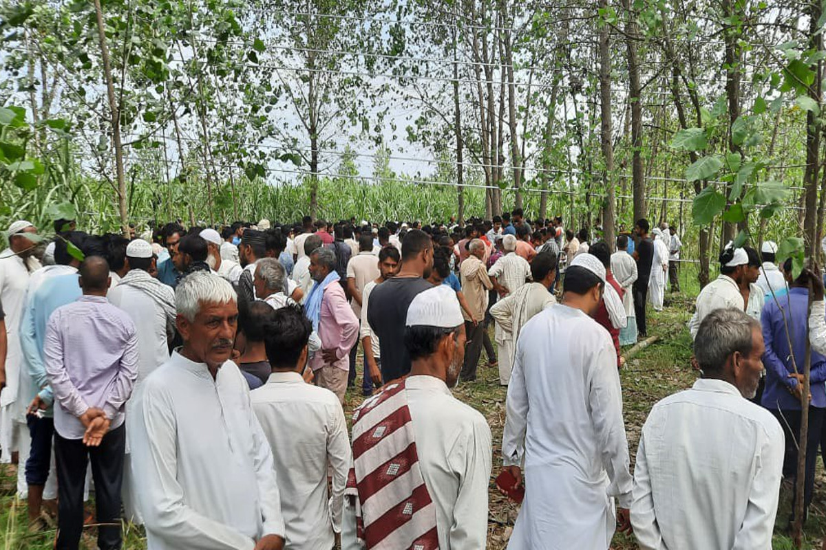 current-of-the-high-tension-line-landed-on-tree-in-saharanpur-three-people-died.jpg