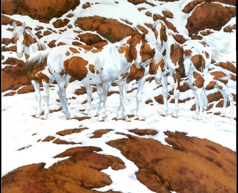 How Many Horses Can You Find in This Viral Picture