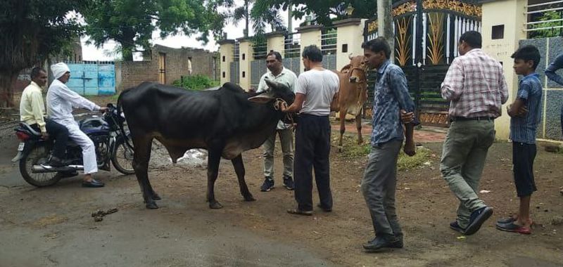 Lumpy alert in the district