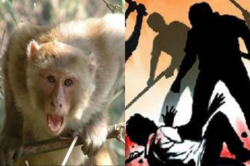 teenager-was-thrashed-to-death-for-carrying-a-spoon-by-monkey-in-sambhal.jpg