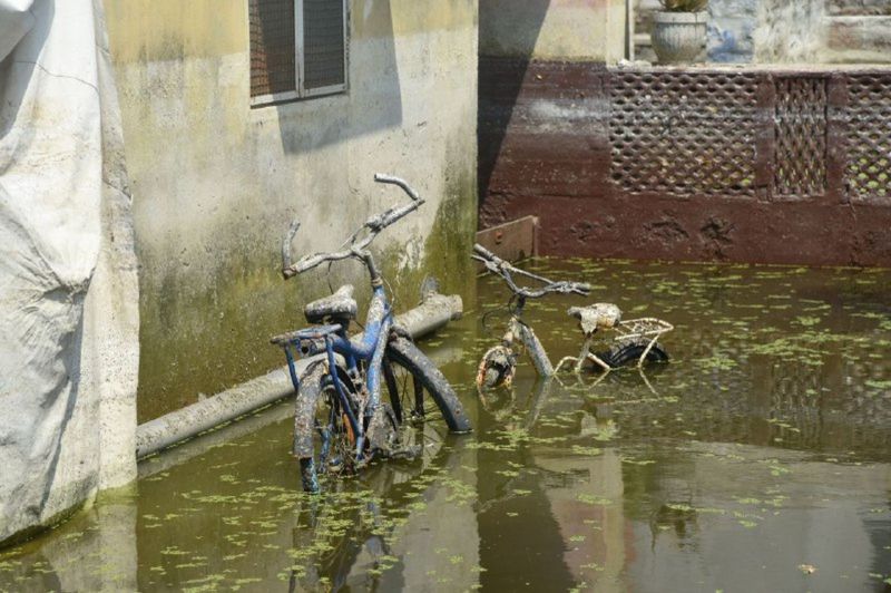 RAIN-- पानी उतरा, तो सामने आए जख्म... अपने घरों से बाहर रह रहे लोगों ने घरों में देखा नुकसान का मंजर