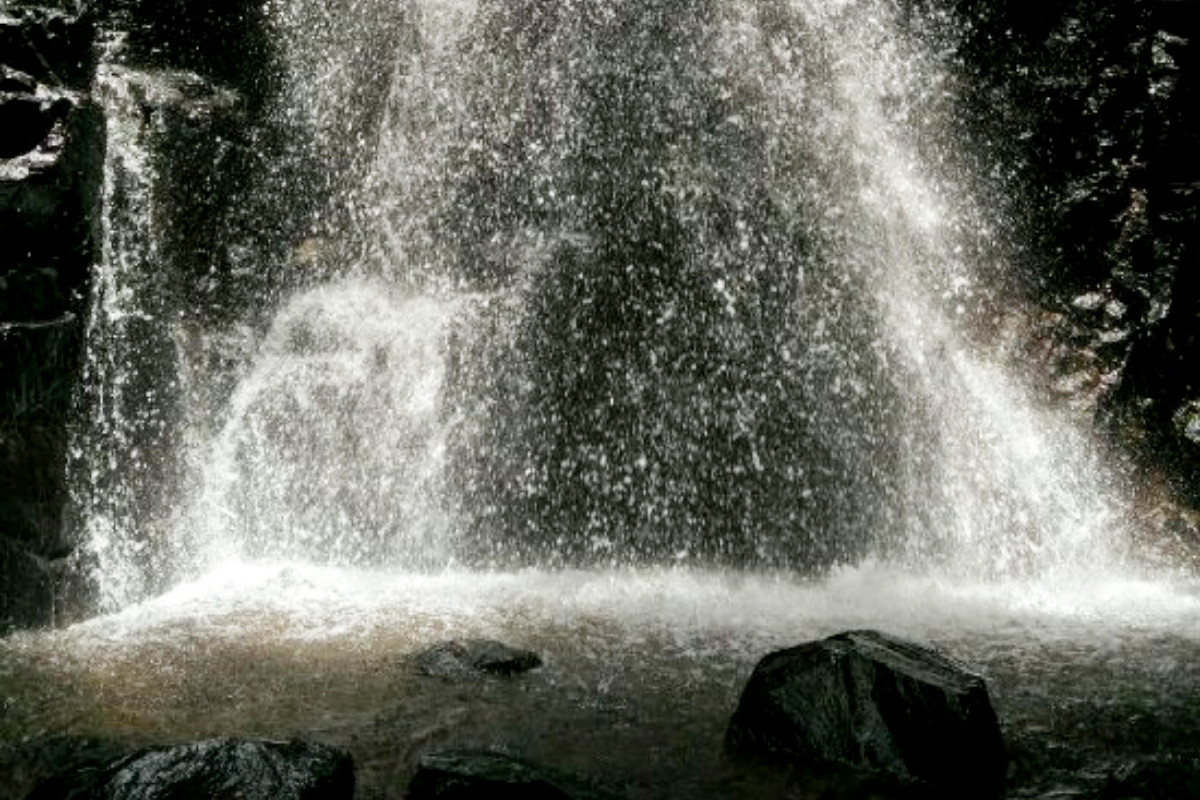 Trimbakeshwar Torangan Waterfall Accident