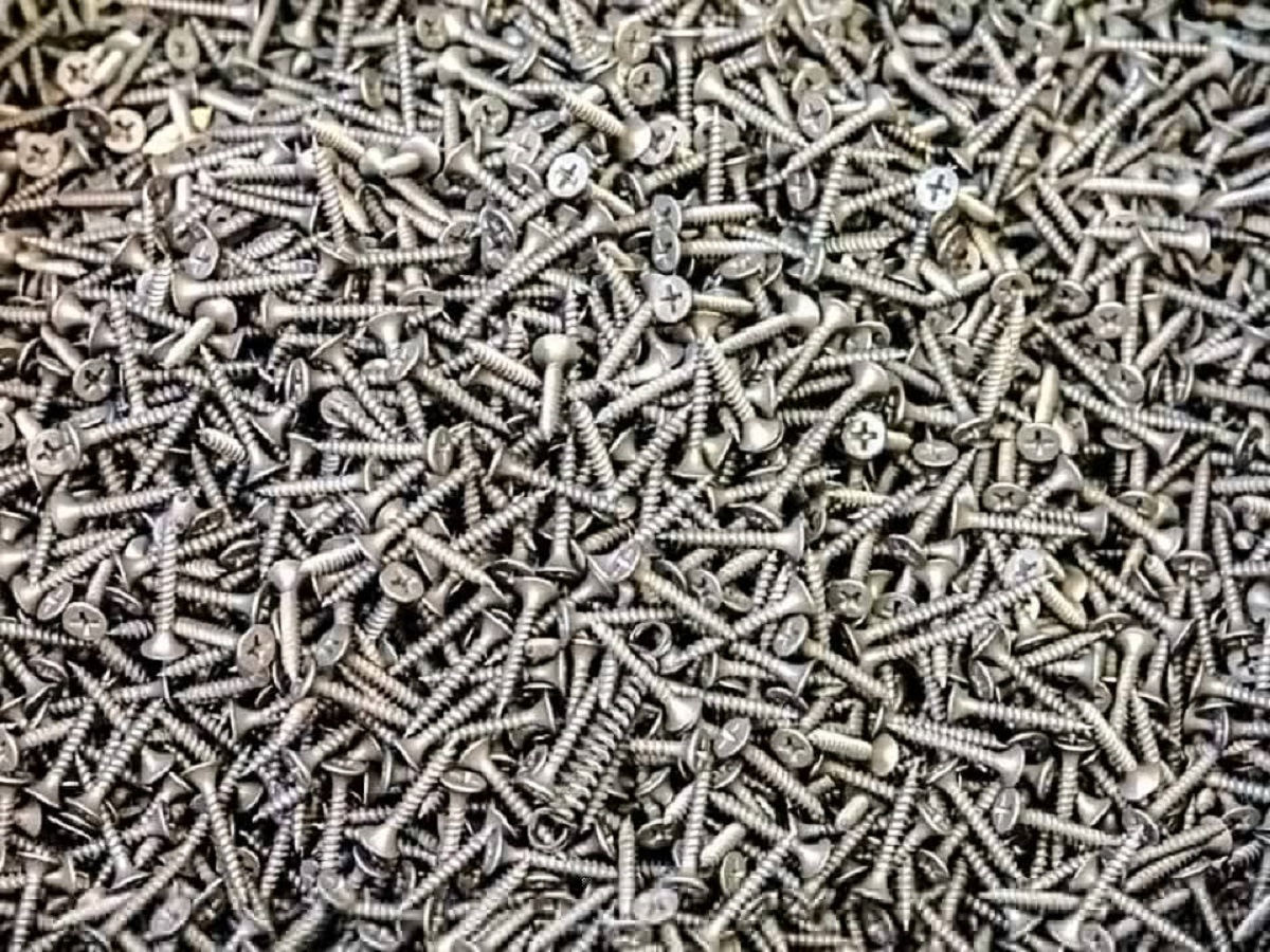 Can you find the hidden spring among these screws within 12 seconds?