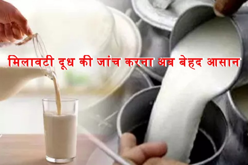 milk-adulteration-test-in-home-by-ndri-paper-strip.jpg