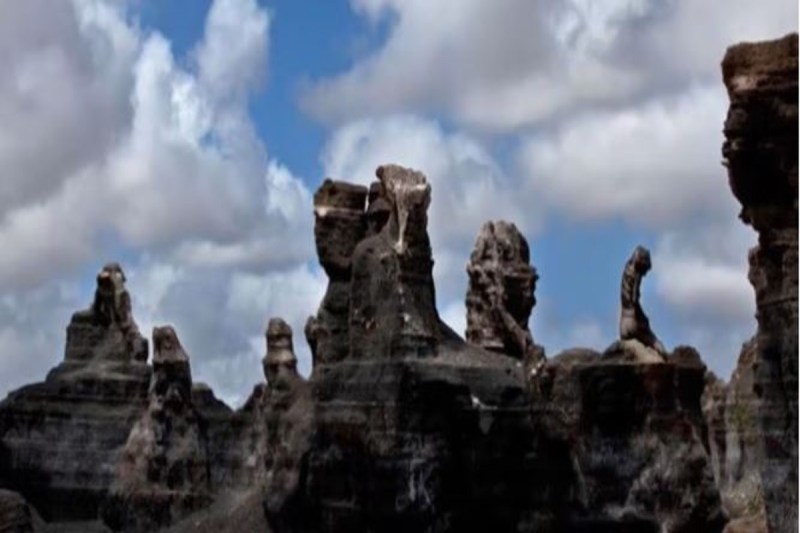 Optical Illusion Find Hidden Woman In Puzzle Photo