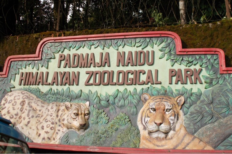 Darjeeling zoo recognised as best zoo in India