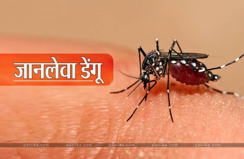 dengue