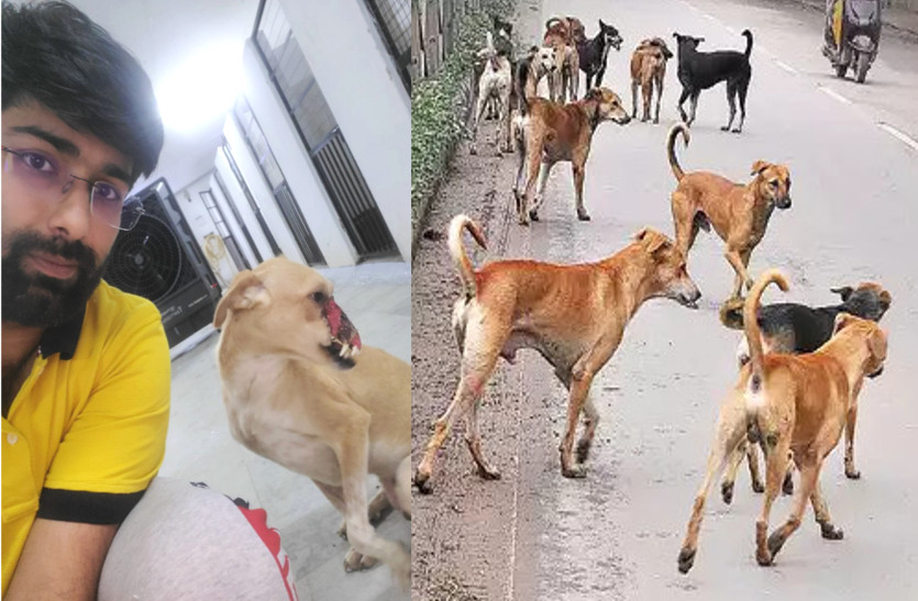 Dog Home Foundation Jodhpur Jaipur shelter for stray dogs