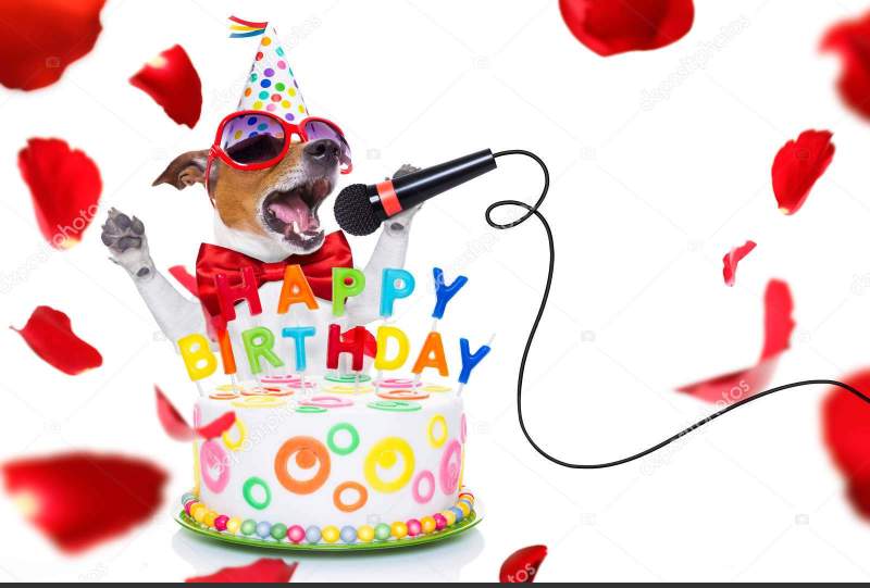 Symbolic photo of Dogs Birthday