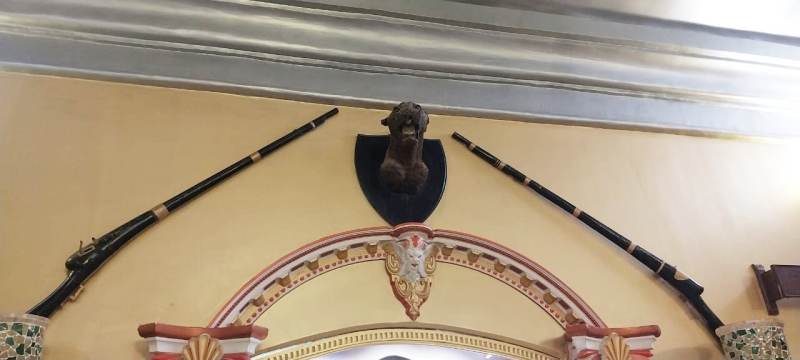 बस्तर महाराजा को देश के आखिरी चीतों में एक का सिर मिला था उपहार में, आज भी राजमहल में रखा है