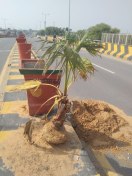 शहर के सौंदरीयकरण को झटका, आरओबी पर गमलों को तोड़ किया पौधों को नष्ट