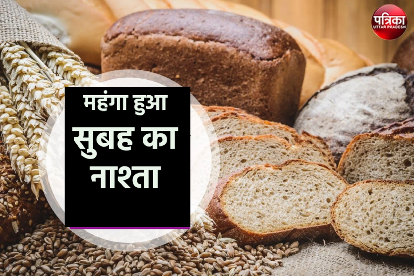 bread_toast_price.png