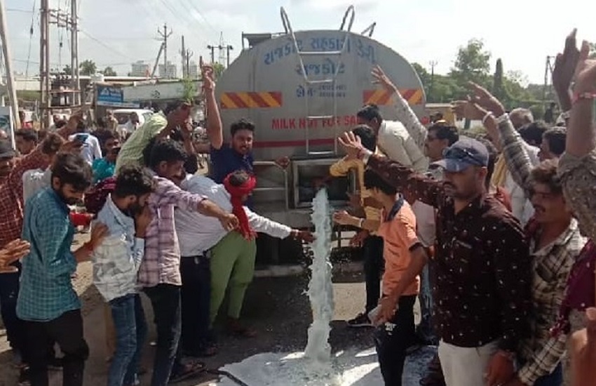 Gujarat Milk supply stop Agitation सौराष्ट्र में दूध से सफेद हो गई सड़कें, हजारों लीटर दूध व्यर्थ बहाया