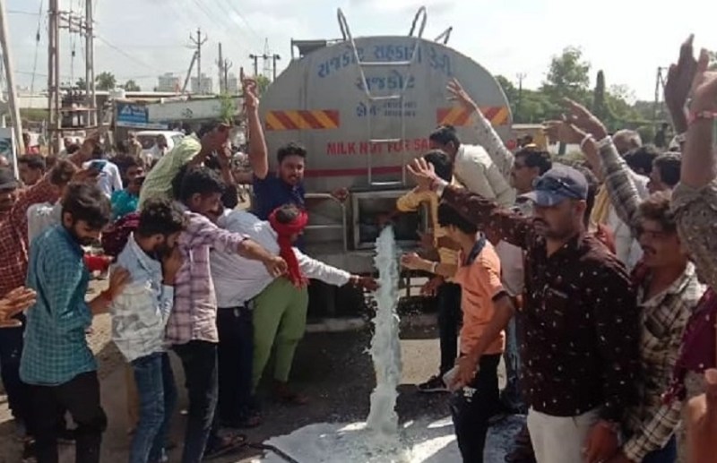 Gujarat Milk supply stop Agitation सौराष्ट्र में दूध से सफेद हो गई सड़कें, हजारों लीटर दूध व्यर्थ बहाया