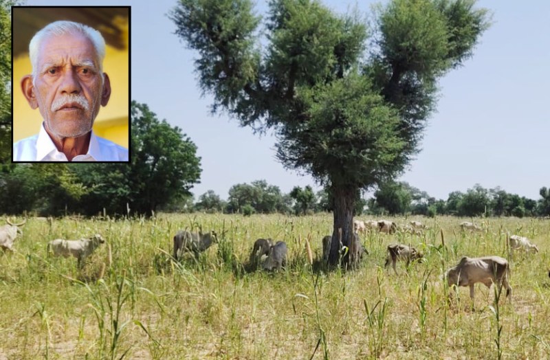 Unique decision of former sarpanch in barmer