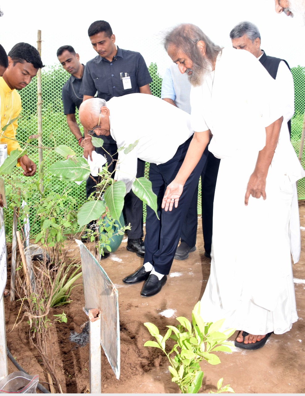 Gujarat plantation जापान की मियावाकी पद्धति से लगाएंगे एक हजार करोड़ पौधे