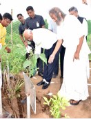 Gujarat plantation जापान की मियावाकी पद्धति से लगाएंगे एक हजार करोड़ पौधे