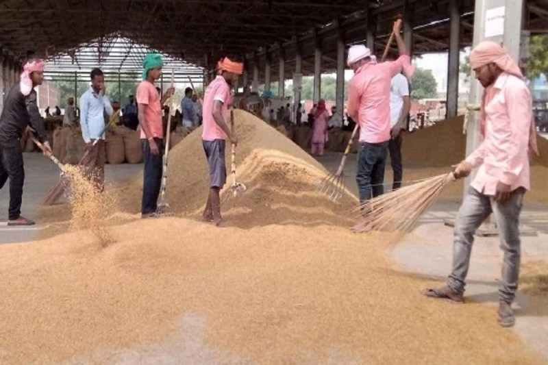 खुशखबर, कृषि क्षेत्र में मजदूरी की न्यूनतम दर बढ़ी, जानें अब नए रेट क्या हुए