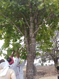 The forest of Nimar is known by the domination of Khar-Dushan