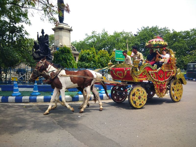 पर्यटन उद्योग अब पटरी पर, त्योहारी सीजन और होगा बेहतर