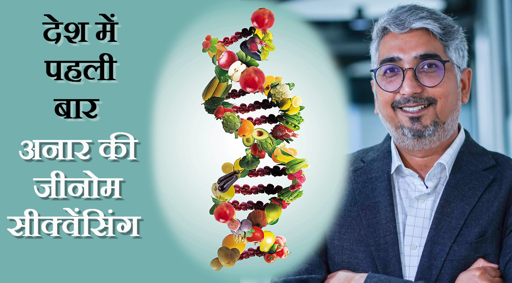 satna: अब भारत में एक्सपोर्ट क्वालिटी का अनार तैयार करना होगा आसान
