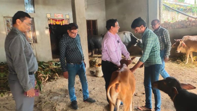 Lampi virus more effective In Ujjain MP