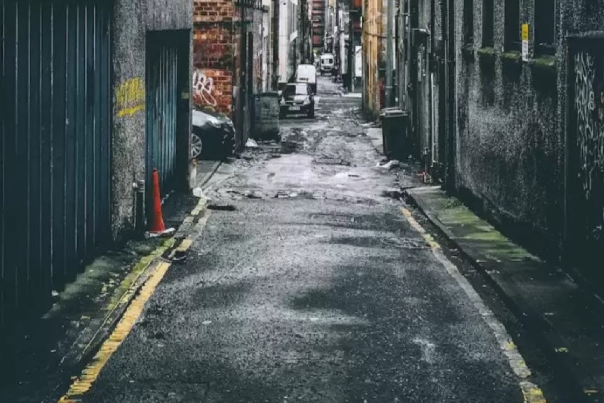 Optical Illusion: Can You Find The Dog In This Street Within 7 Seconds?