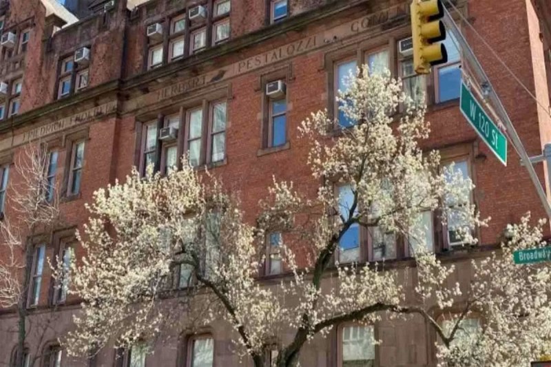 Optical Illusion Finding Two Birds In Photo Is Almost Impossible Brain Teasers 