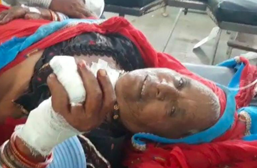 70 year old woman clashed with robber in nagaur