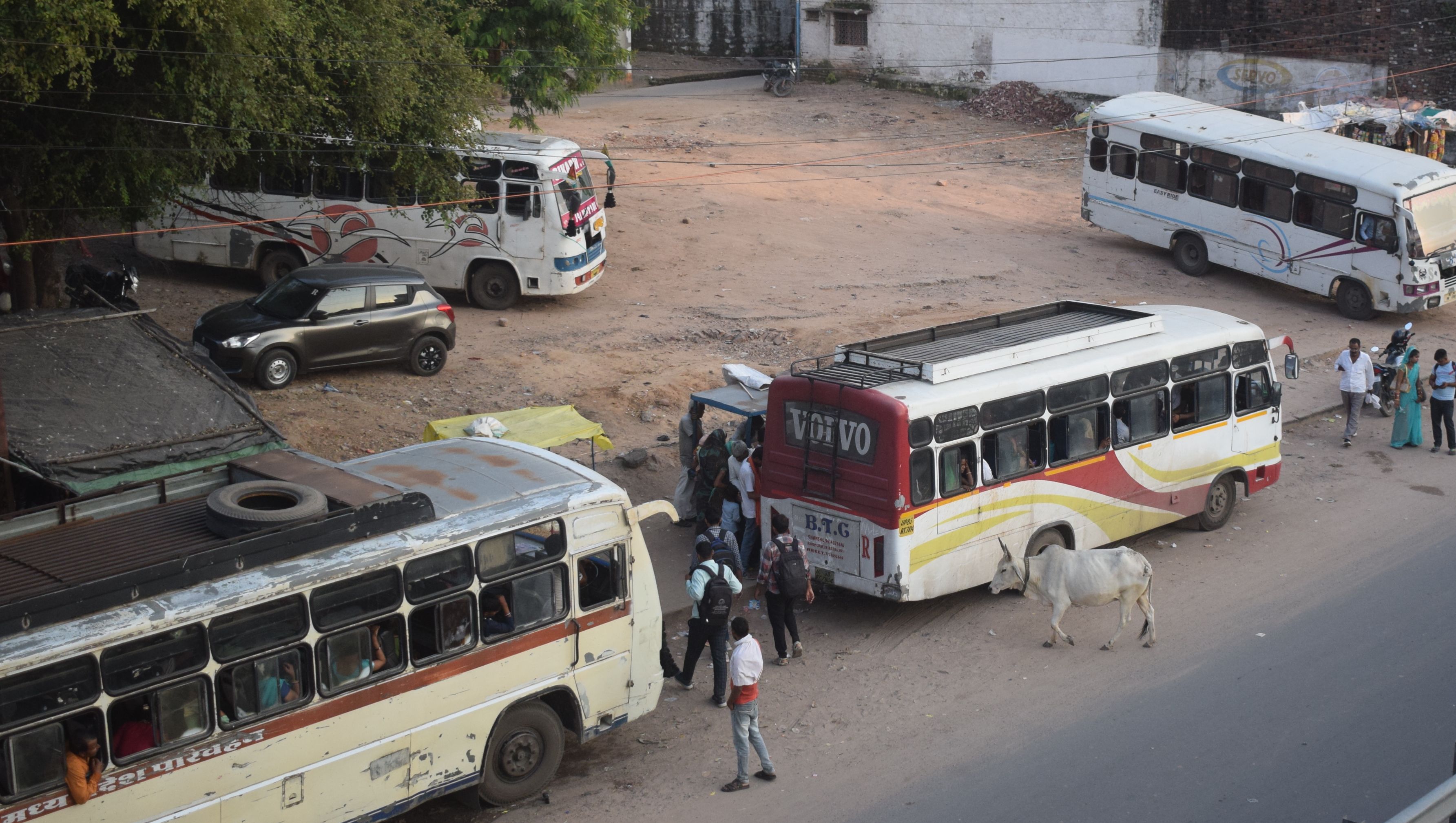 Illegal private buses are becoming canker for roadways, daily loss of one and a half lakhs