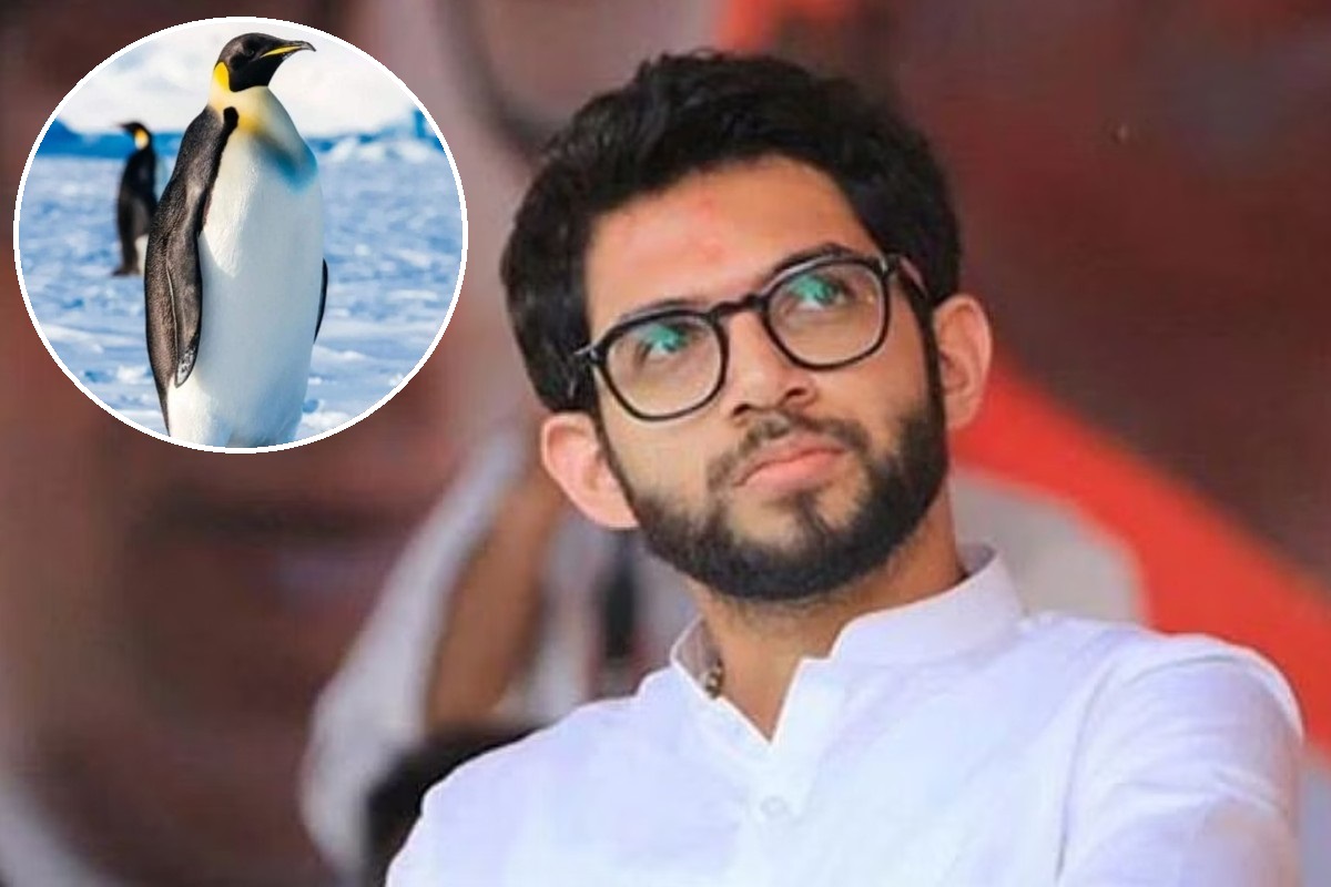 Aditya Thackeray on Penguin Remark