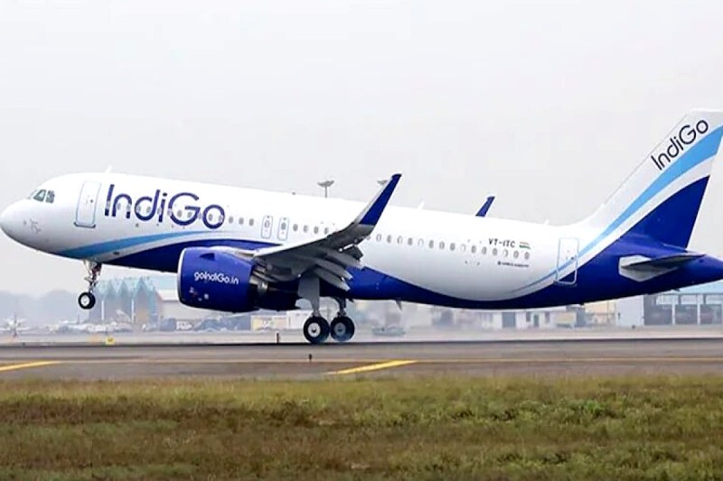 indigo Flight molestation
