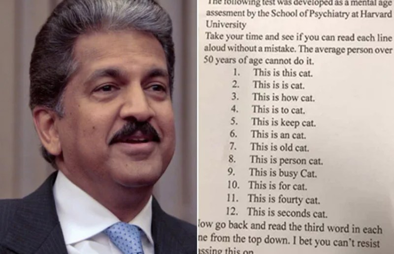 anand mahindra 