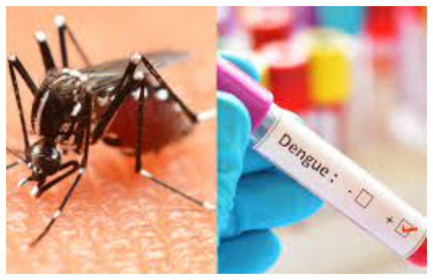 डेंगू टेस्ट में नहीं चलेगी मनमानी, सीएमओ ने जारी किया आदेश, 750 रुपए में होगी जांच