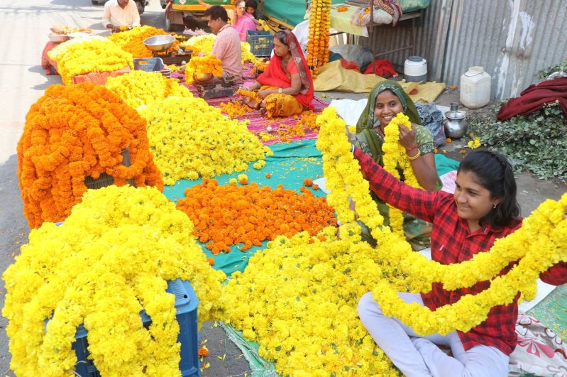 फूलों की महक से गुलजार है इंदौर के बाजार, हर दिन 10 लाख की बिक्री