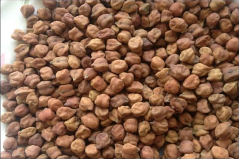 Kabali gram: पैदावार कमजोर, आवक घटी, महंगा हो गया काबली चना