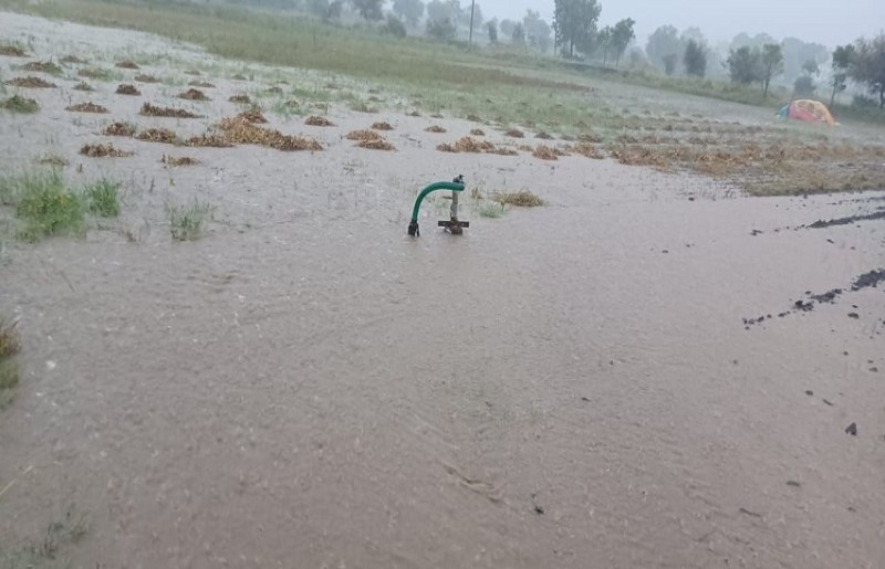 राजस्थान में यहां पूरी रात मूसलाधार बारिश, बांधों के गेट खोले, शनिवार को 22 से अधिक जिलों में बारिश का अलर्ट