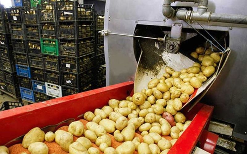 MEGA FOOD PARK: 300 बीघा जमीन पर होगा विकसित , ले आउट प्लान भेजा