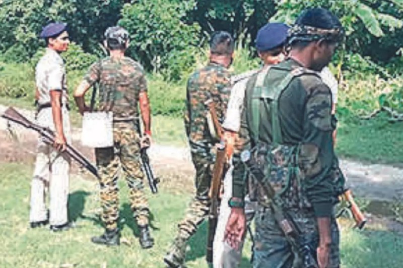 Bihar orders to shoot man-eater tiger in Valmiki Tiger Reserve (VTR), kills 9 people