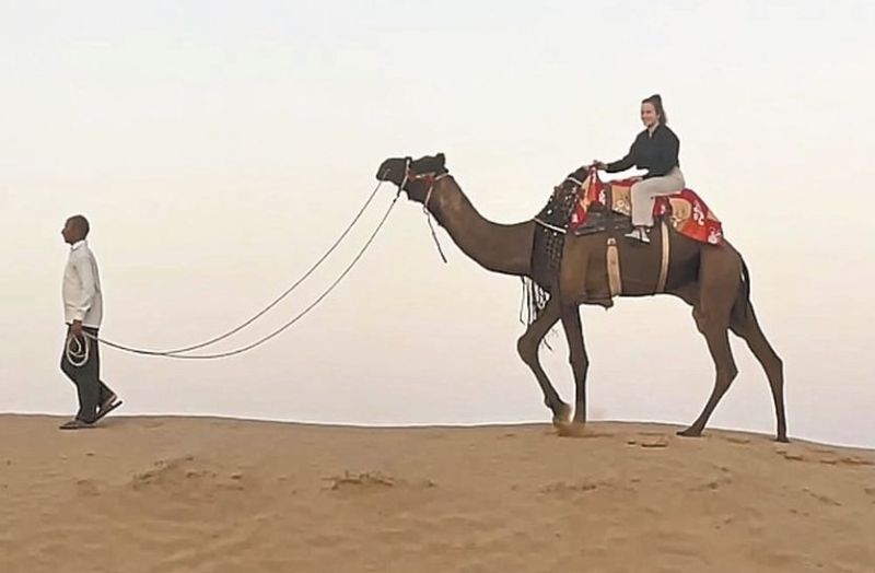 Tourist in bikaner: पावणों का सन्नाटा टूटा, बीकाणा में तेजी से सैलानियों की आमद