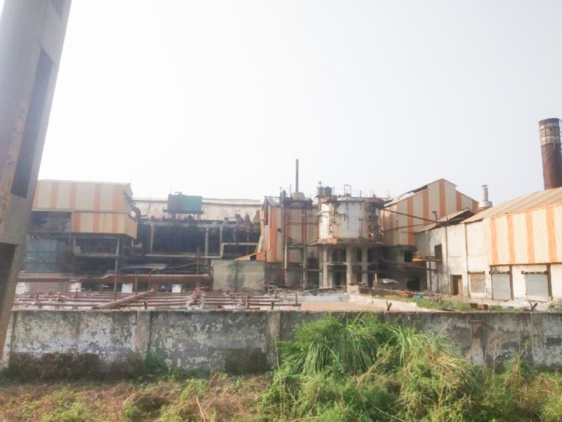 गन्ना किसान के लिए ऑनलाइन घोषणा पत्र भरने की तिथि अब 20 अक्टूबर तक बढ़ी