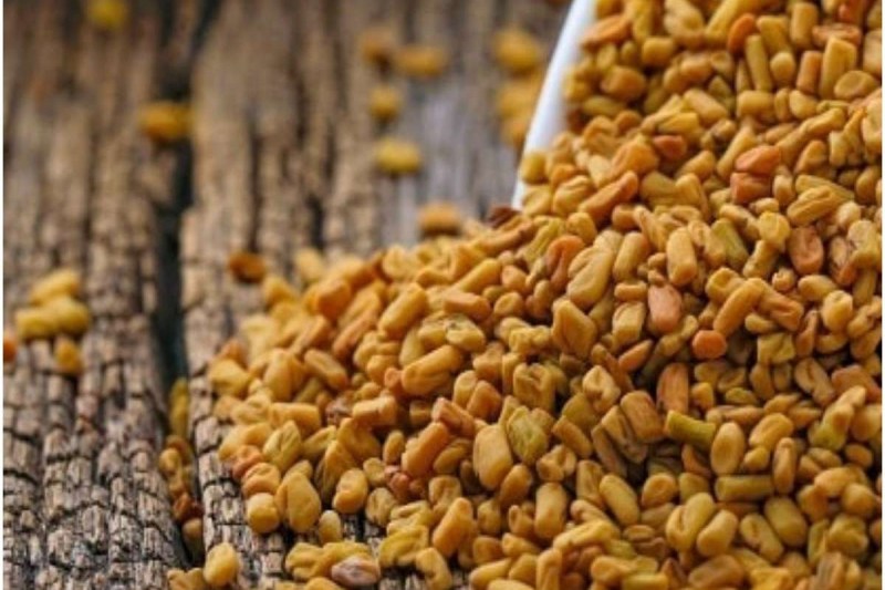 Dana Meethi : दाना मेथी 200 रुपए प्रति क्विंटल महंगी, आइए जानते है क्यों चढ़े भाव