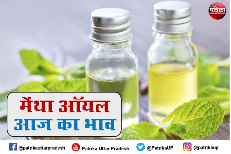 Mentha Oil Rate Mentha Oil Price Today : मेंथा ऑयल रेट में गिरावट, जानें आज का Mint Oil Price