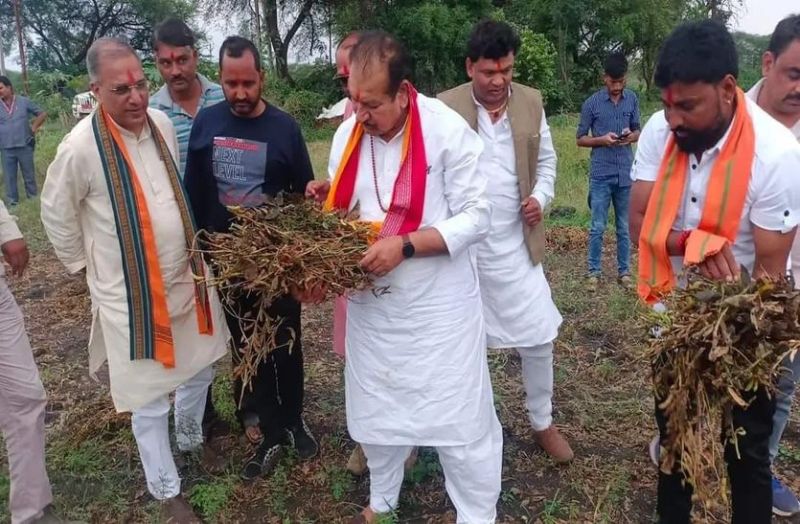अभी पहले की रबी फसल नुकसान की भरपाई नहीं हुई और खरीफ फसल पर भी फिरा किसानों की उम्मीद पर पानी