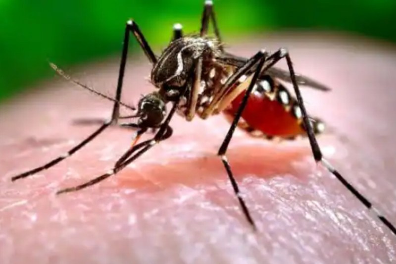 village-development-officer-dies-of-dengue-in-aligarh.jpg