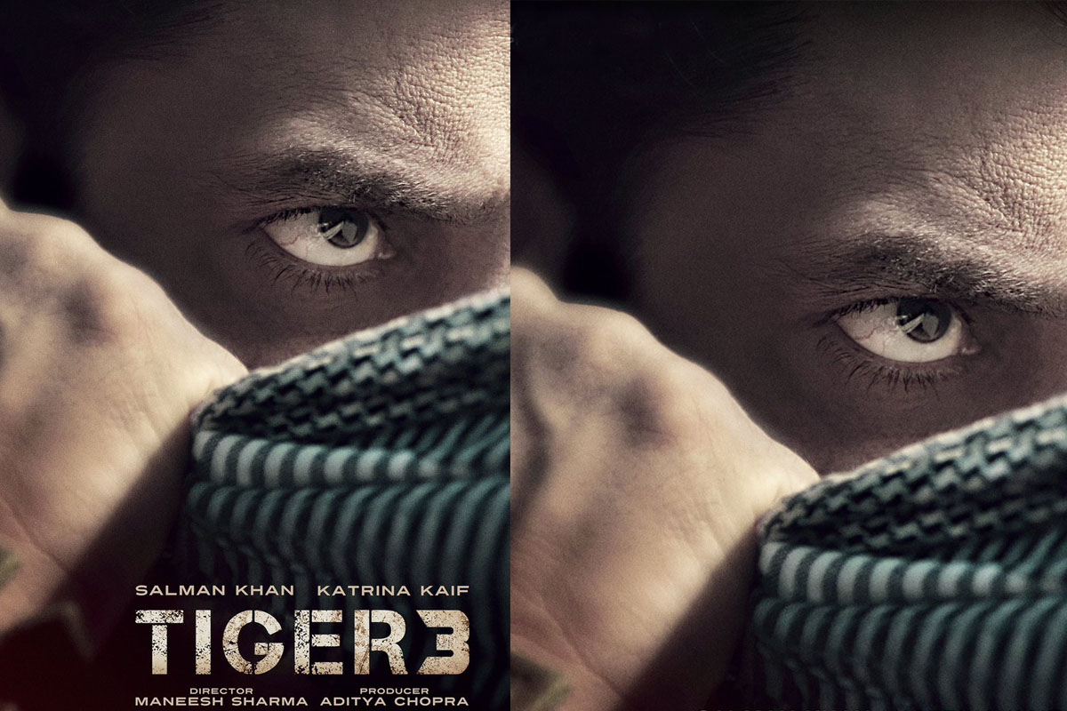 Salman Khan Film Tiger 3 Release Date Announce